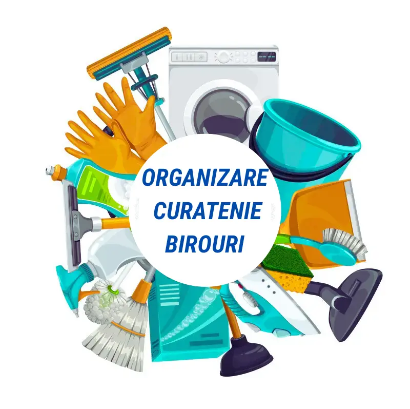 Curatenie la Birouri: Organizarea Serviciilor de Curatenie 11 Organizarea Serviciilor de Curatenie la Birouri