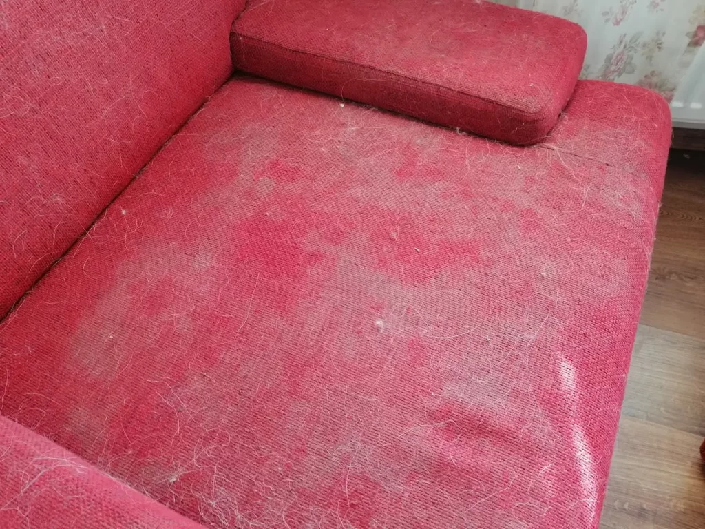 Cat de des trebuie curatata canapeaua 1 Curățenie canapea înainte de igienizare – Real Cleaning București