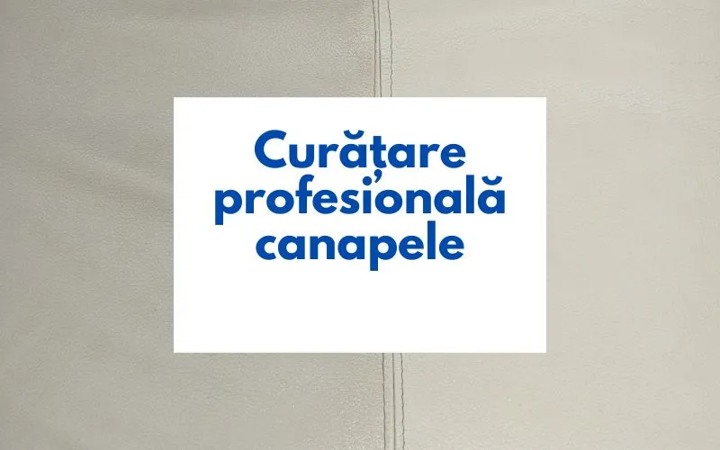 Echipă Real Cleaning în acțiune – curățare profesională canapele la domiciliu