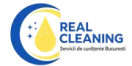 Real Cleaning