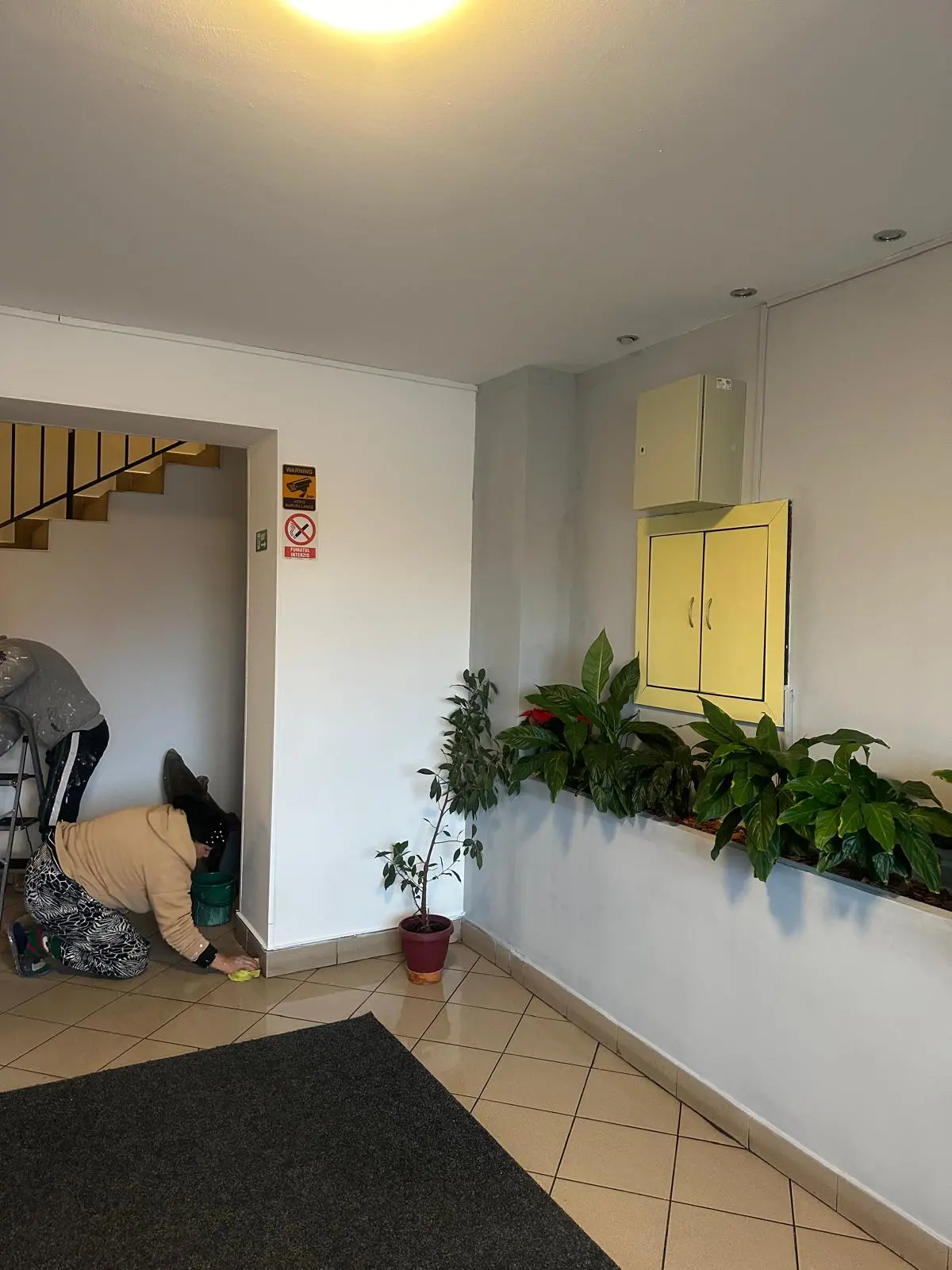 Curatenie scari de bloc in spatiu comun cu zona verde interioara