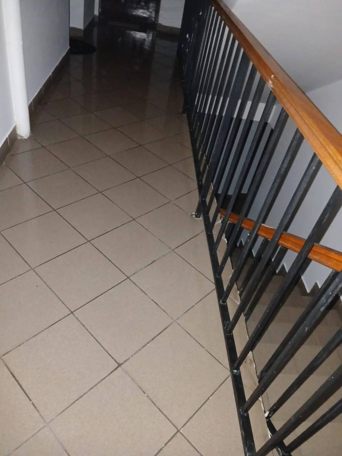 Curatare paliere scari de bloc