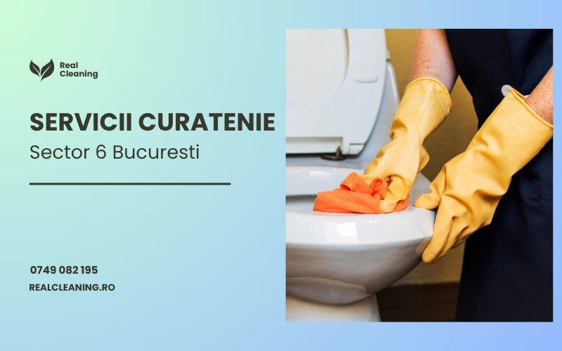Servicii curatenie Sector 6 Bucuresti - Real Cleaning